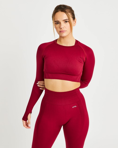 AYBL Balance V2 Seamless Long Sleeve Crop Top Rosse | JTOUQ-8364