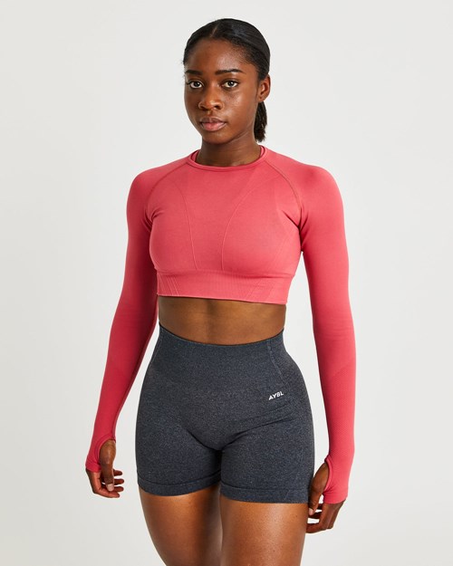 AYBL Balance V2 Seamless Long Sleeve Crop Top Rosa | OVHSL-9342