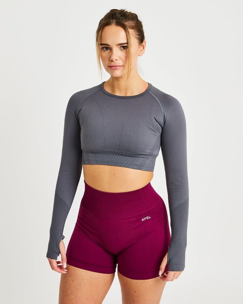 AYBL Balance V2 Seamless Long Sleeve Crop Top Grigie | YSJQX-9286