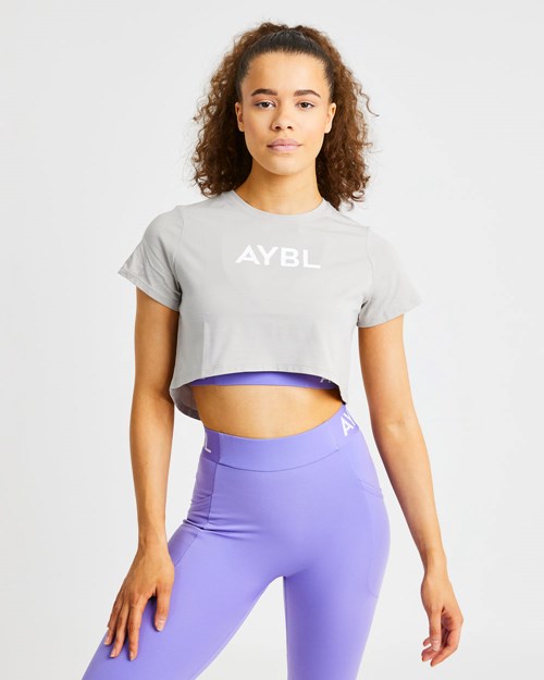 AYBL Crop T Shirt Grigie | ENCXJ-5076