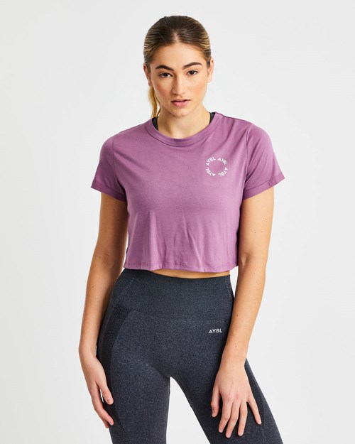 AYBL Element Crop Top Viola | HQWYU-7342