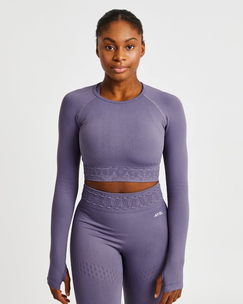 AYBL Elevate Seamless Long Sleeve Crop Top Viola | RLYPF-3852