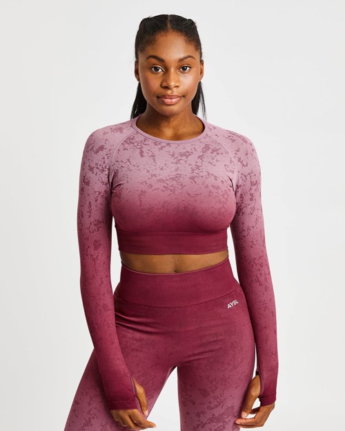AYBL Flare Seamless Long Sleeve Crop Top Plum | EXLAH-4621