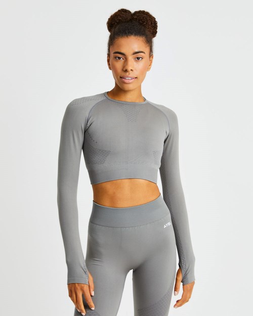 AYBL Ignite Seamless Long Sleeve Crop Top Grigie | ZFOEI-5790