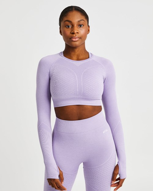 AYBL Impact Seamless Long Sleeve Crop Top Lilac | EKCRI-7456