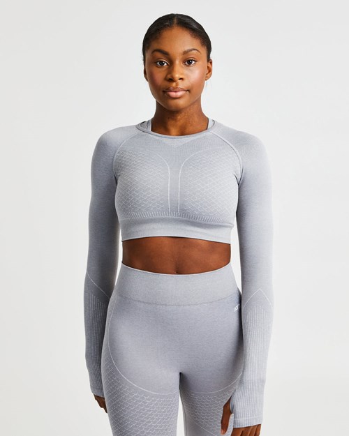 AYBL Impact Seamless Long Sleeve Crop Top Grigie | RLATN-5371