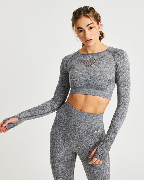 AYBL Motion Seamless Long Sleeve Crop Top Grigie | IGRUA-3267