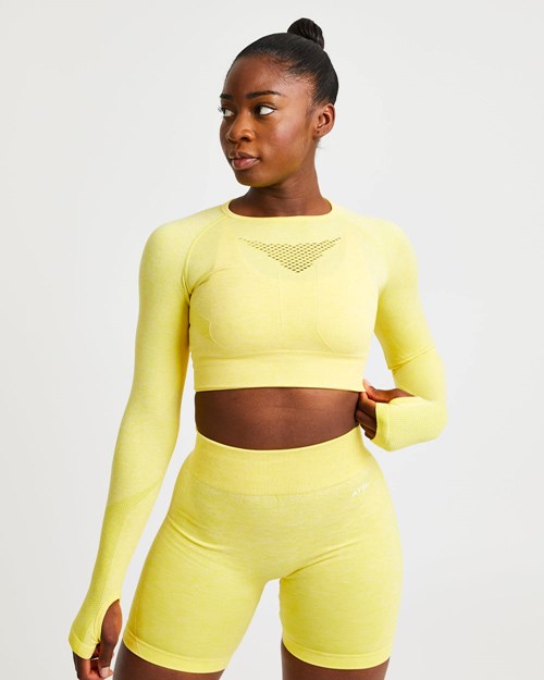 AYBL Motion Seamless Long Sleeve Crop Top Gialle | IHFYN-0879