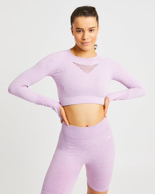 AYBL Motion Seamless Long Sleeve Crop Top Rosa | IQBKN-0162
