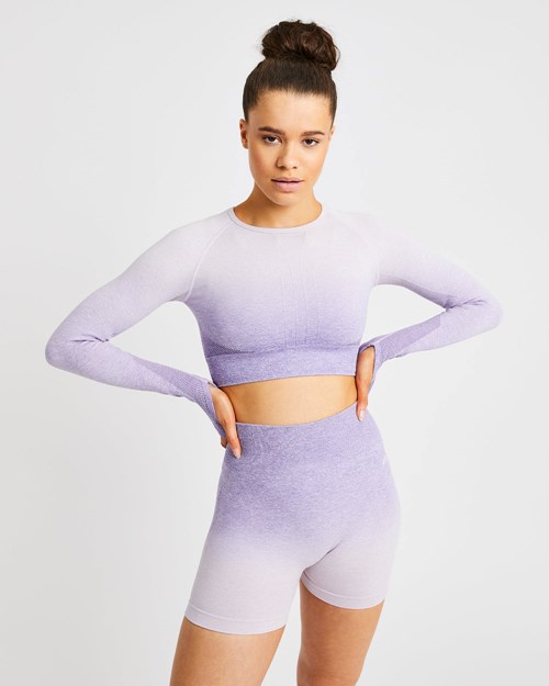 AYBL Pulse Ombré Seamless Long Sleeve Crop Top Lilac | EQVHZ-2043