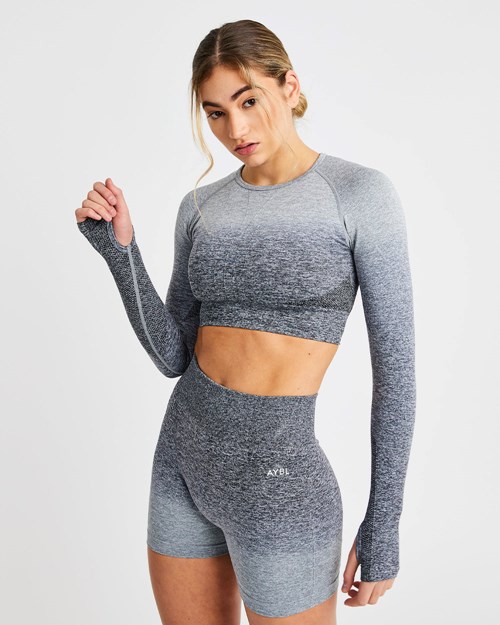 AYBL Pulse Ombré Seamless Long Sleeve Crop Top Grigie | WUDLZ-7514