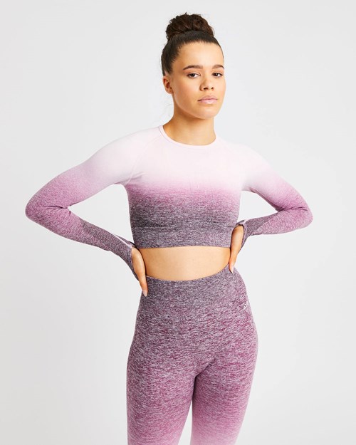 AYBL Pulse Ombré Seamless Long Sleeve Crop Top Plum | XMEZF-4235