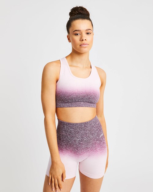 AYBL Pulse Ombré Seamless Sports Bra Plum | XBZSM-7391