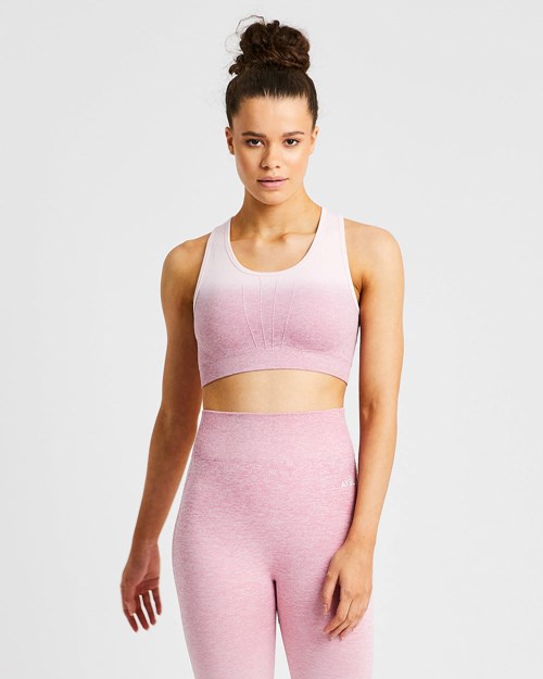 AYBL Pulse Ombré Seamless Sports Bra Rosa | VXEDT-3875