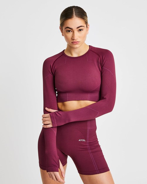 AYBL Reflex Seamless Long Sleeve Crop Top Plum | VCJMA-0796