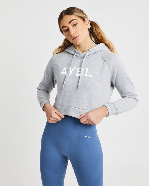 AYBL Staple Crop Hoodie Grigie Chiaro | AFVZT-1569