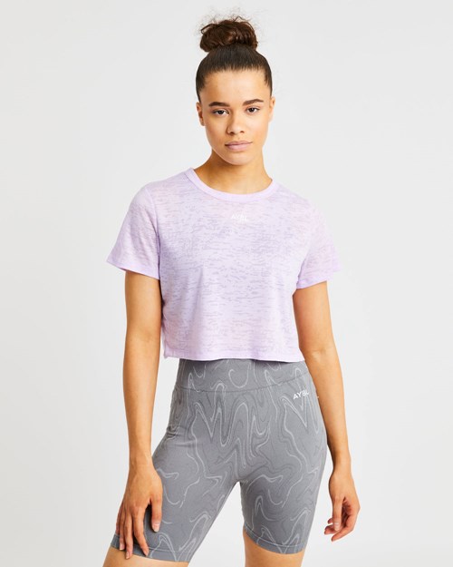 AYBL Velocity Crop T Shirt Lilac | JTMUW-8953